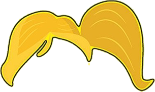 Yellow hair in a ponytail